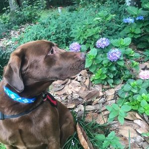 Meet your Posher, Max